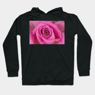 Close macro shot of a rose with water drops Hoodie